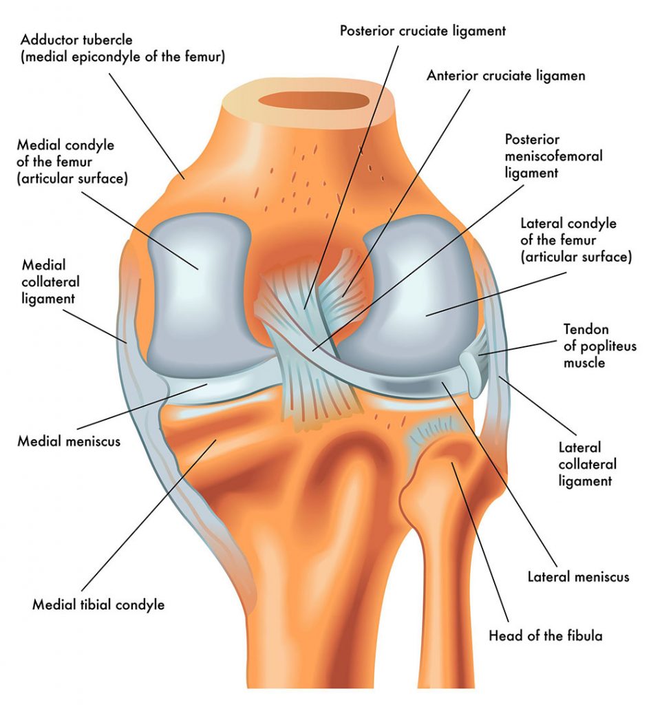 Long term symptoms of ACL tear (without surgery)