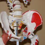 What is a hip pointer injury? Hip Pointer Causes, Symptoms, Diagnosis & Treatments