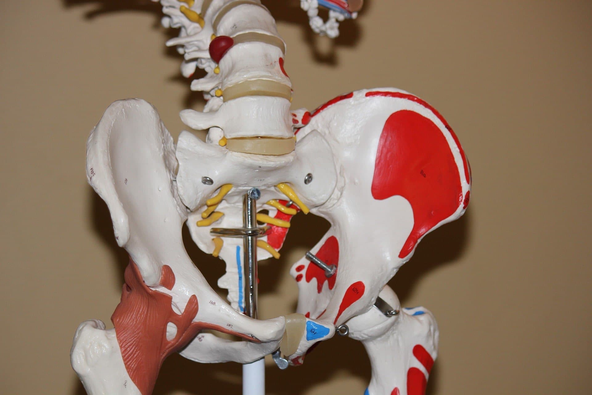Hip Pointer Injury Causes, Symptoms & Treatments - Heiden Orthopedics