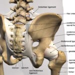 Complex Fracture Of The Pelvis: Do You Need An Orthopedic Surgeon?